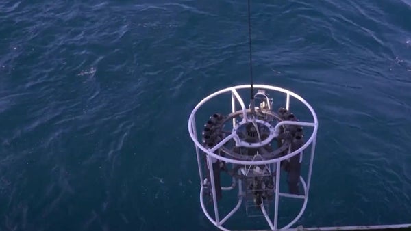 Expedición científica del ARC Simón Bolívar: 68 estaciones oceanográficas entre el Pacífico y la Antártida