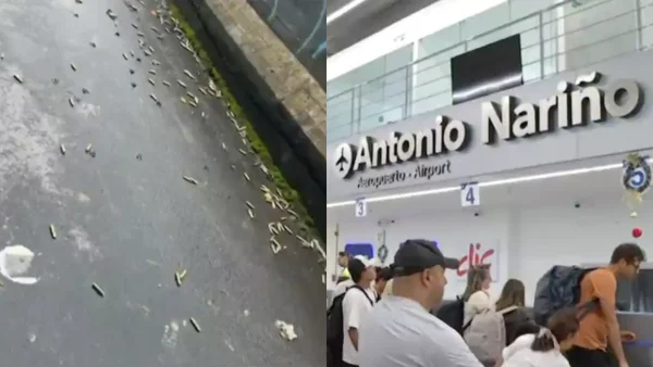 Cierre en la vía Panamericana por hostigamiento contra la Fuerza Pública provocó que familias enteras perdieran sus vuelos: no llegarían para Navidad Cierre en la vía Panamericana por hostigamiento contra la Fuerza Pública provocó que familias enteras perdieran sus vuelos: no llegarían para Navidad