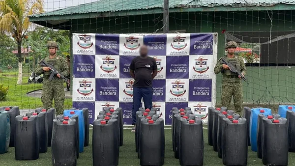 Fuerzas Militares frustran atentado, liberan secuestrados y decomisan droga en Cauca y Cundinamarca