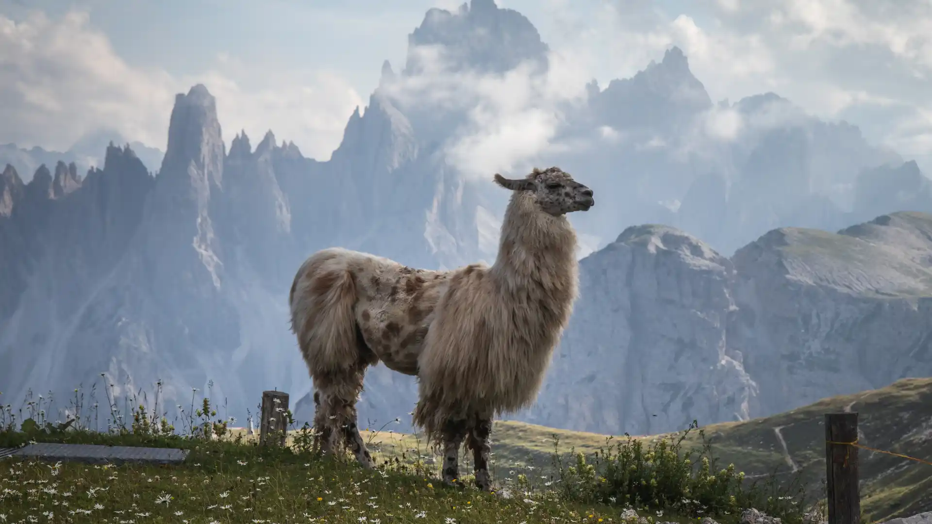 Destinos para viajar a comienzos de 2026 en Sudamérica