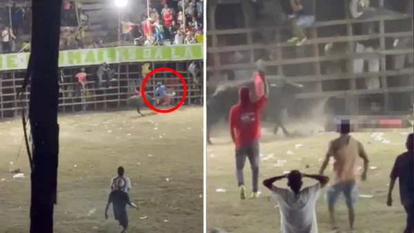 Hombre murió tras una brutal cornada en plena corraleja de Chimá: las imágenes fueron impactantes Hombre murió tras una brutal cornada en plena corraleja de Chimá: las imágenes fueron impactantes
