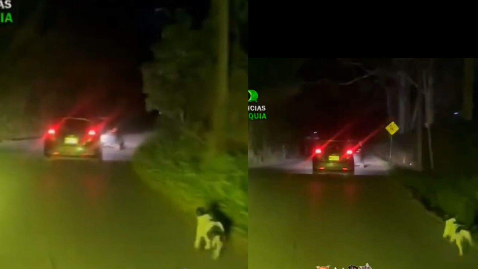 Foto: Captura pantalla X @DenunciasAntio2