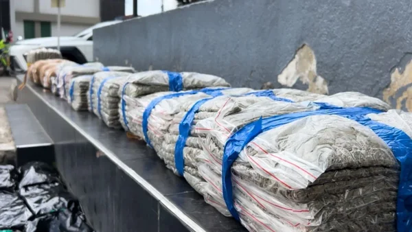 Tras un accidente, autoridades incautaron más de media tonelada de marihuana en Kennedy