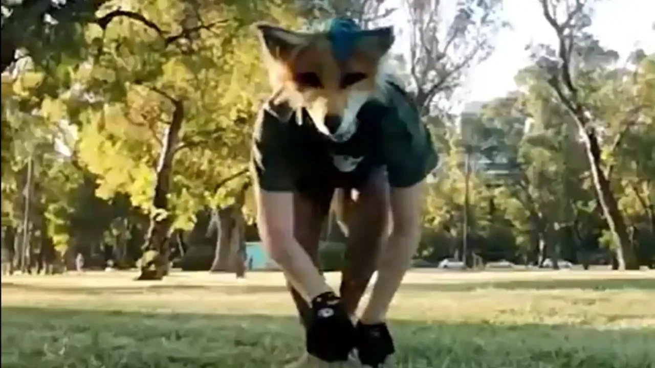 Video viral: hombre que se identifica como zorro recorre las calles caracterizado como el animal