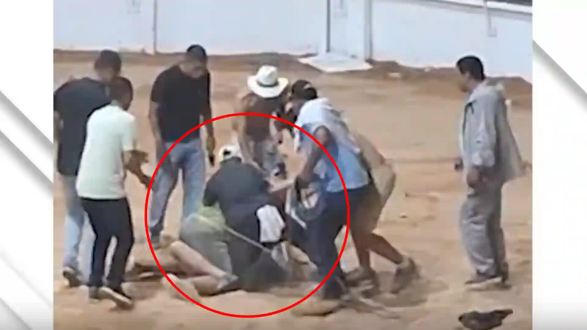 VIDEO | Corrida de toros terminó en una salvaje batalla campal en Barbosa, Santander