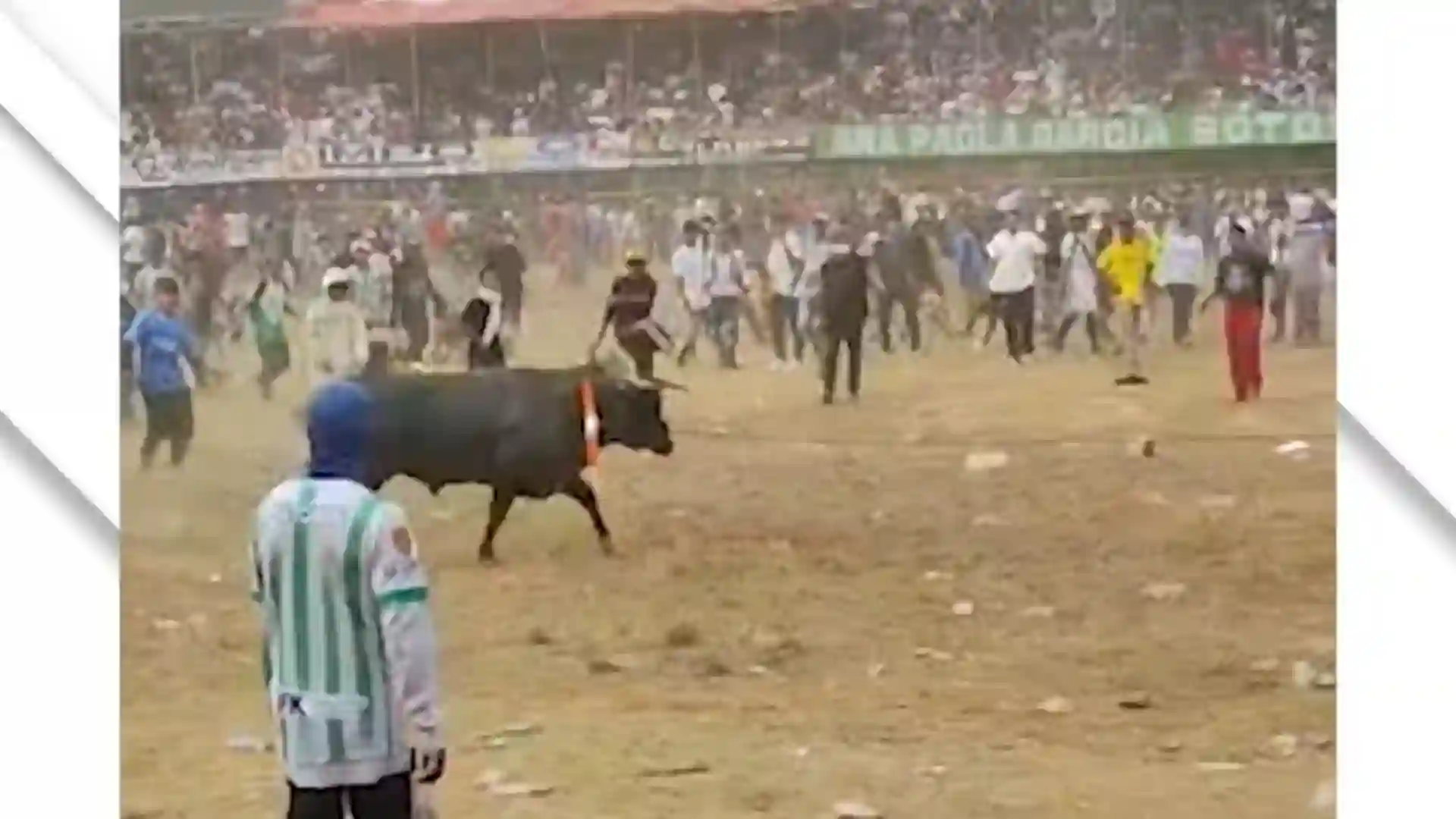 Graves riñas en corralejas en Caucasia, Antioquia, dejaron 63 personas heridos