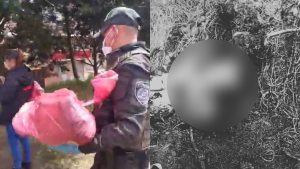 Perrito es encontrado incinerado y mutilado en Bogotá: comunidad exige justicia