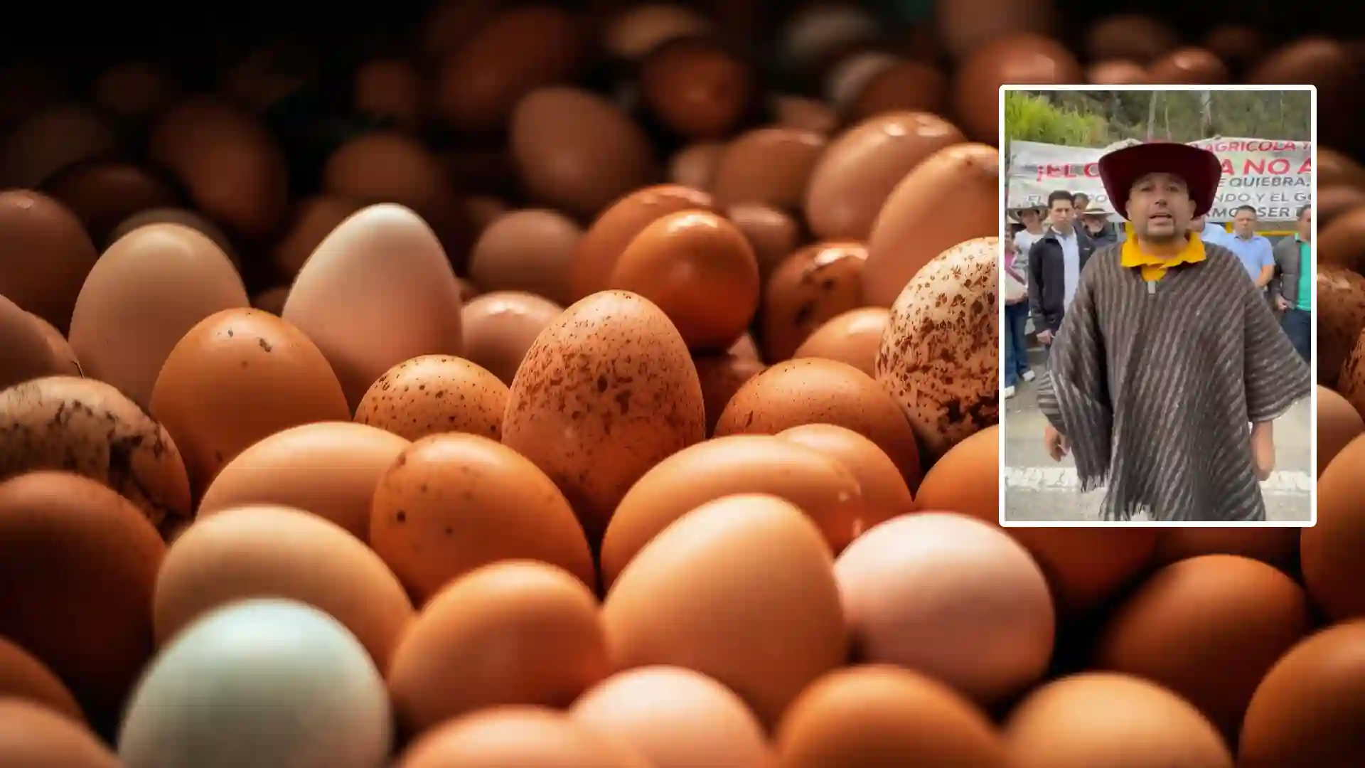 Campesinos bloquean la vía al Llano por precios injustos del huevo: “Les pagan $5.000”
