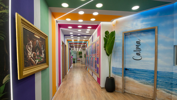 Shock: participante abandonó las instalaciones de La Casa de los Famosos Colombia 2026