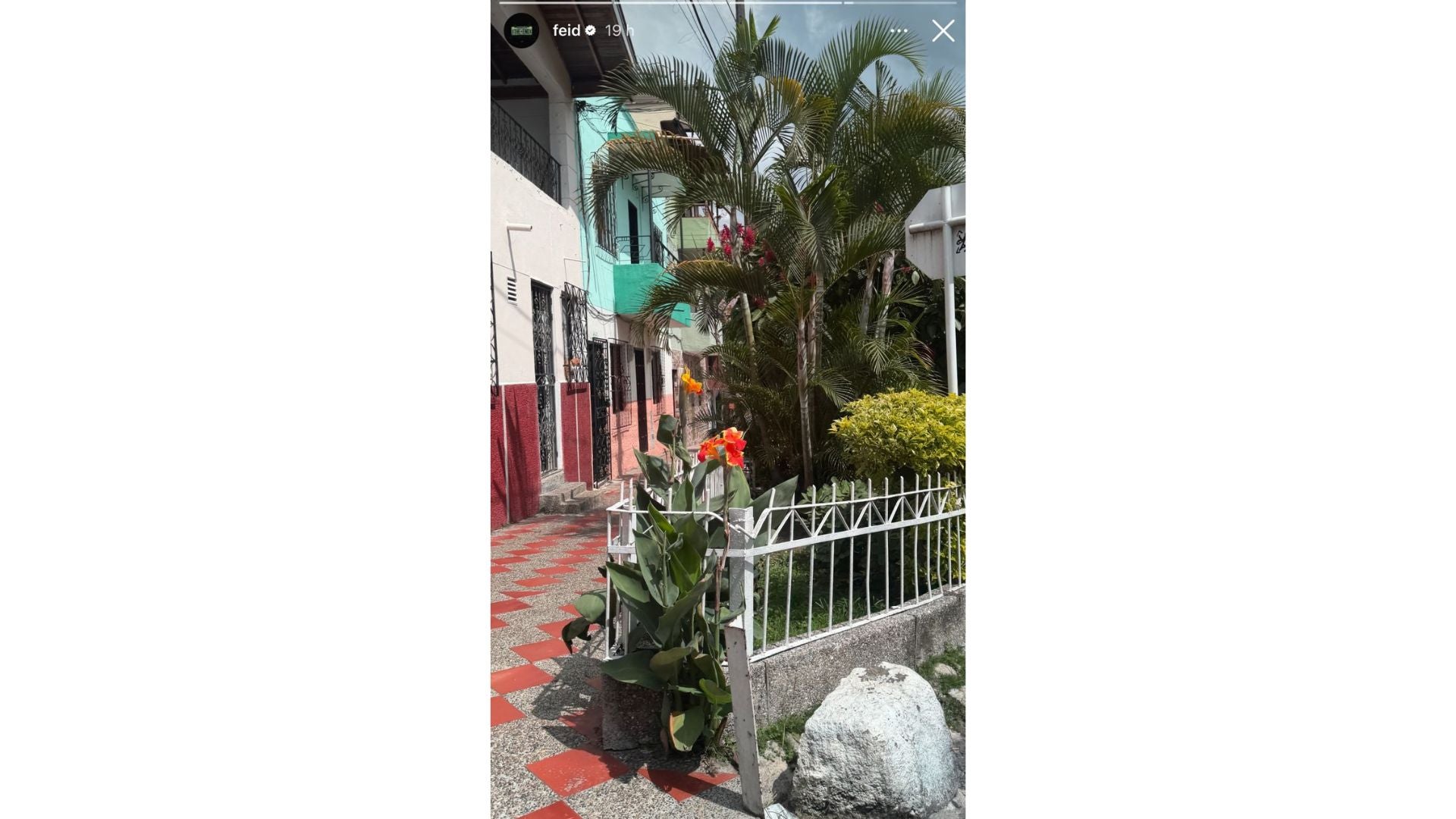 Foto: Captura pantalla IG @Feid