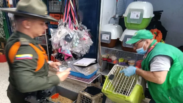 Más de 40 animales fueron incautados en la plaza de mercado del 20 de julio en Bogotá
