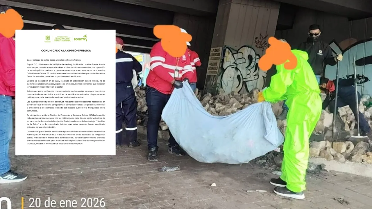 Distrito responde por los restos de animales hallados en Puente Aranda: ni sacrificios ni consumo