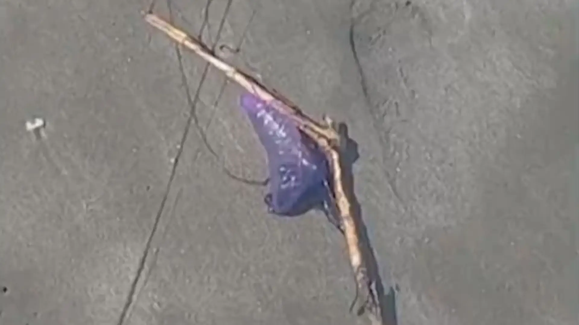 Agua mala en Cartagena