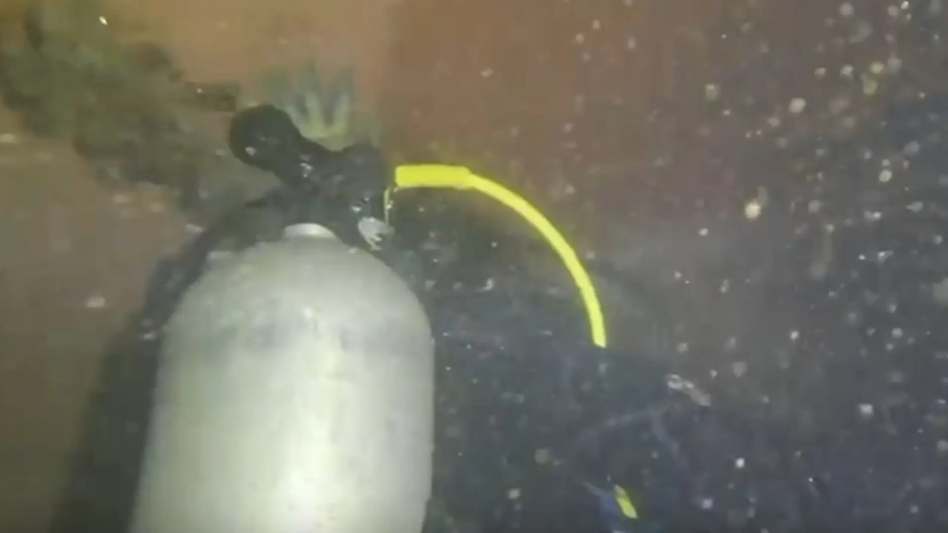 Buzos antinarcóticos