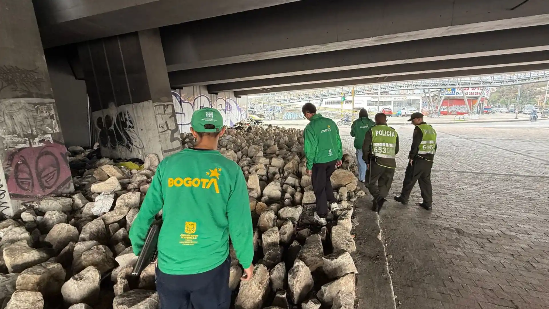 Revelan la verdad detrás de los cráneos animales hallados en la localidad de Puente Aranda