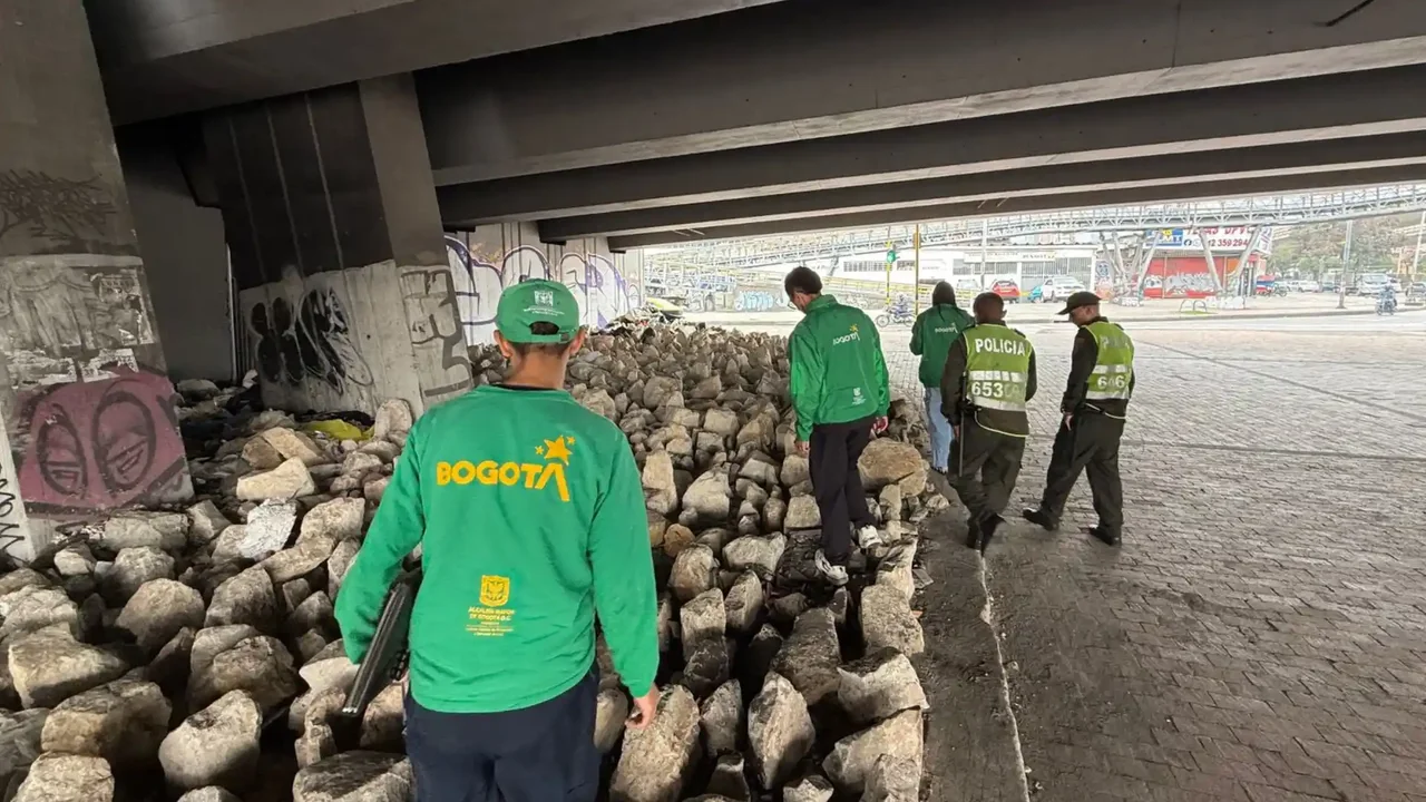 Revelan la verdad detrás de los cráneos animales hallados en la localidad de Puente Aranda