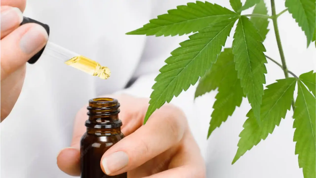 Consumo de cannabis medicinal en Colombia creció 35 %: cifras y tendencias para 2026