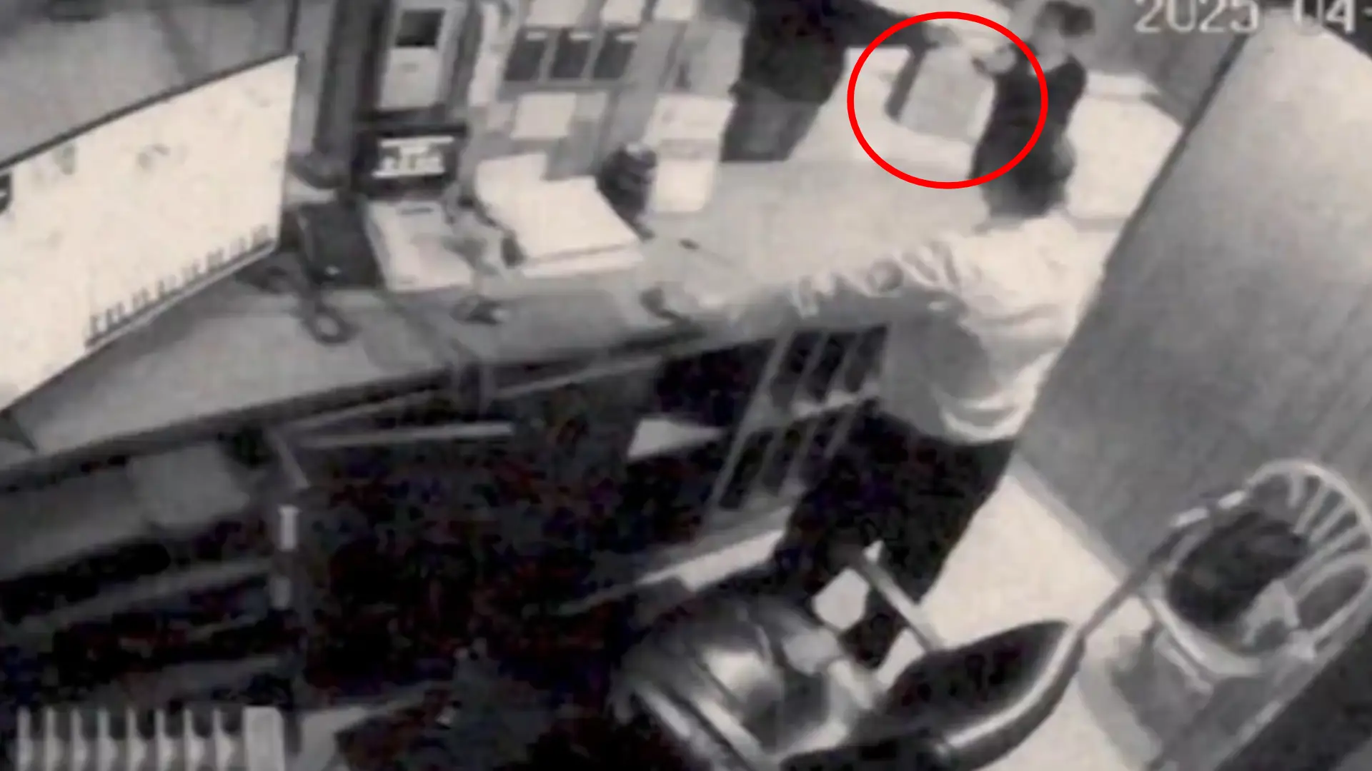 Entrega de las frambuesas envenenadas