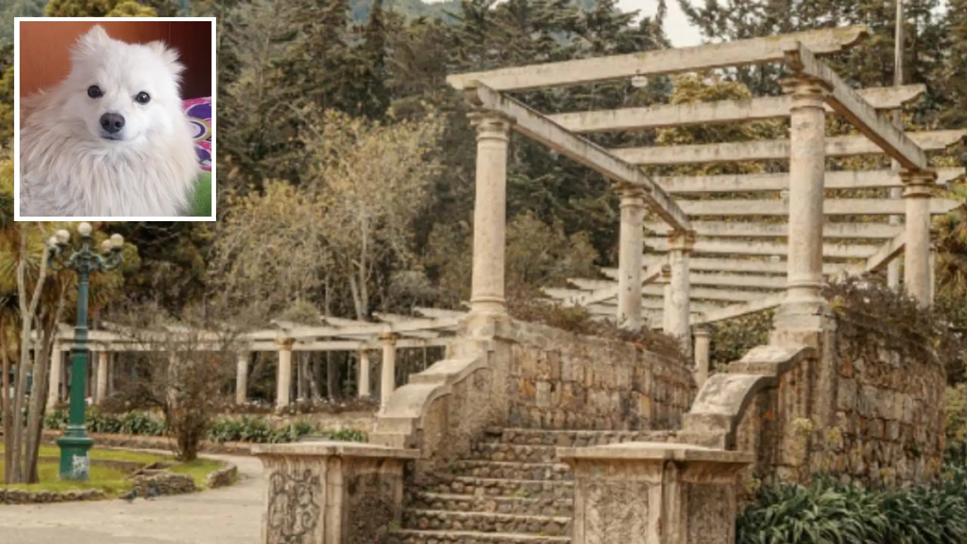 Robo a perros en Parque Nacional