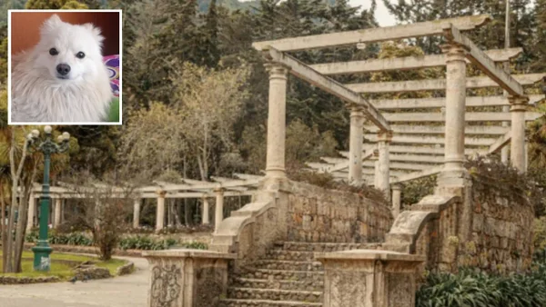 Denuncian secuestro de perros en el Parque Nacional: así es el modus operandi de la peligrosa banda