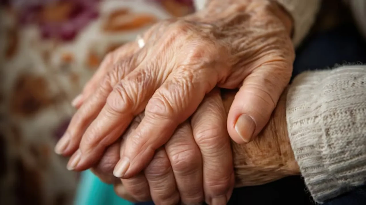 Government Faces Criticism Over Draft Decree on Pension Transfers