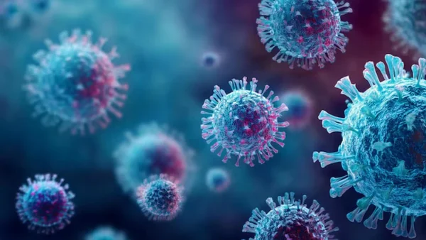 India dice tener controlados los casos de Nipah, el virus mortal que se transmite de animales a personas