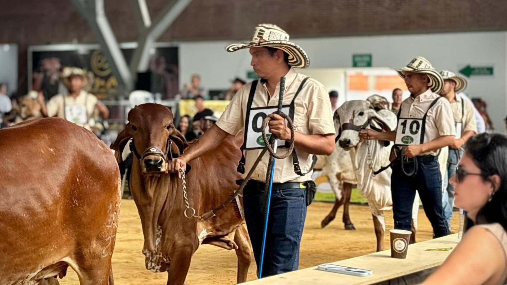 Foto: ExpoMalocas.Oficial / Facebook