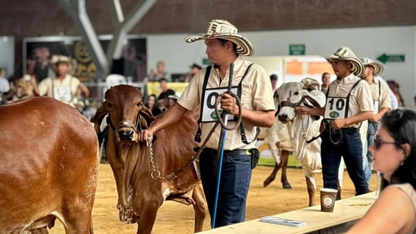 Expomalocas 2026: cinco días de conciertos, ferias y tradición llanera en Villavicencio