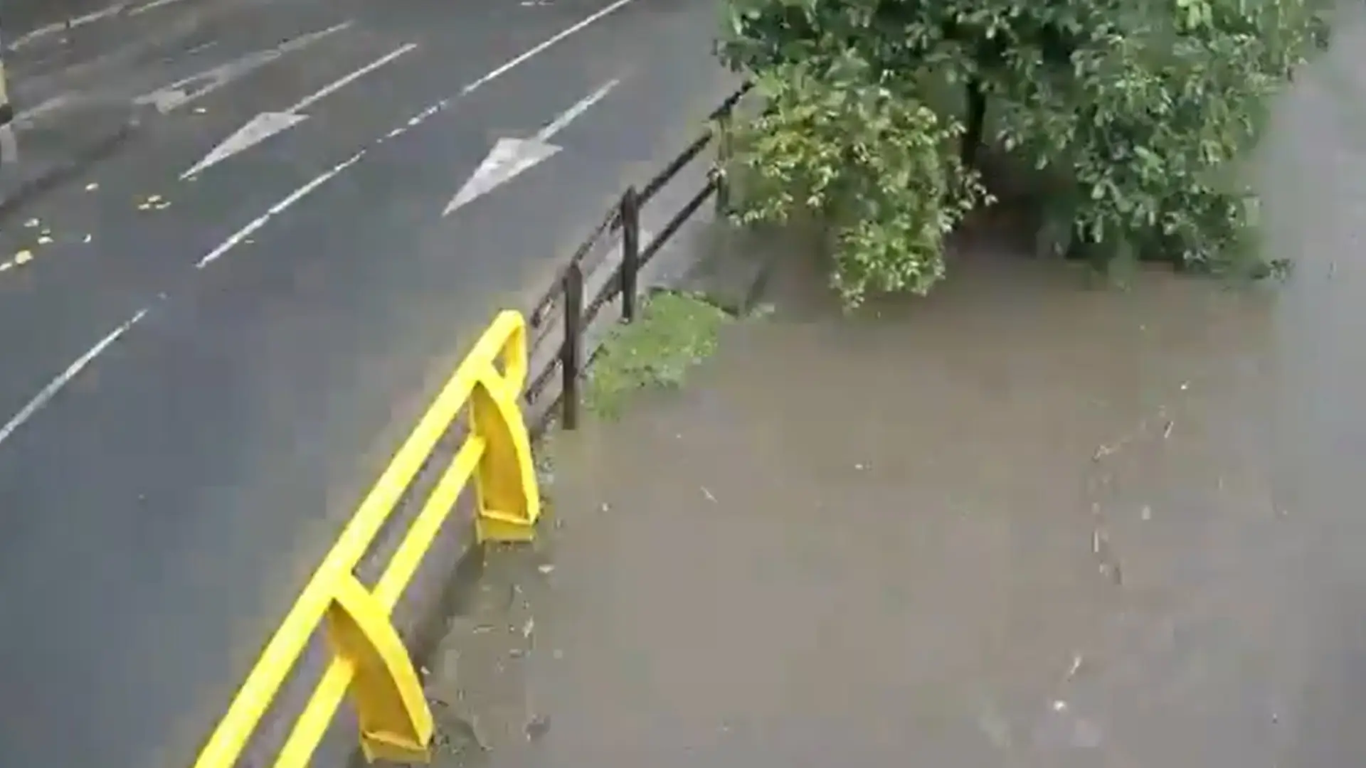 Video creciente en Medellín