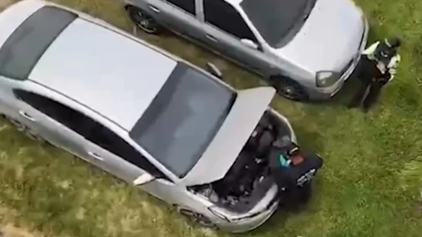 Gigantesco operativo dejó al descubierto a redes del robo de vehículos en el país: esto fue lo que hallaron