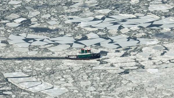 Ola invernal que deja 100 muertos en los Estados Unidos amenaza al sur del país: Florida, Georgia y las Carolinas bajo alerta