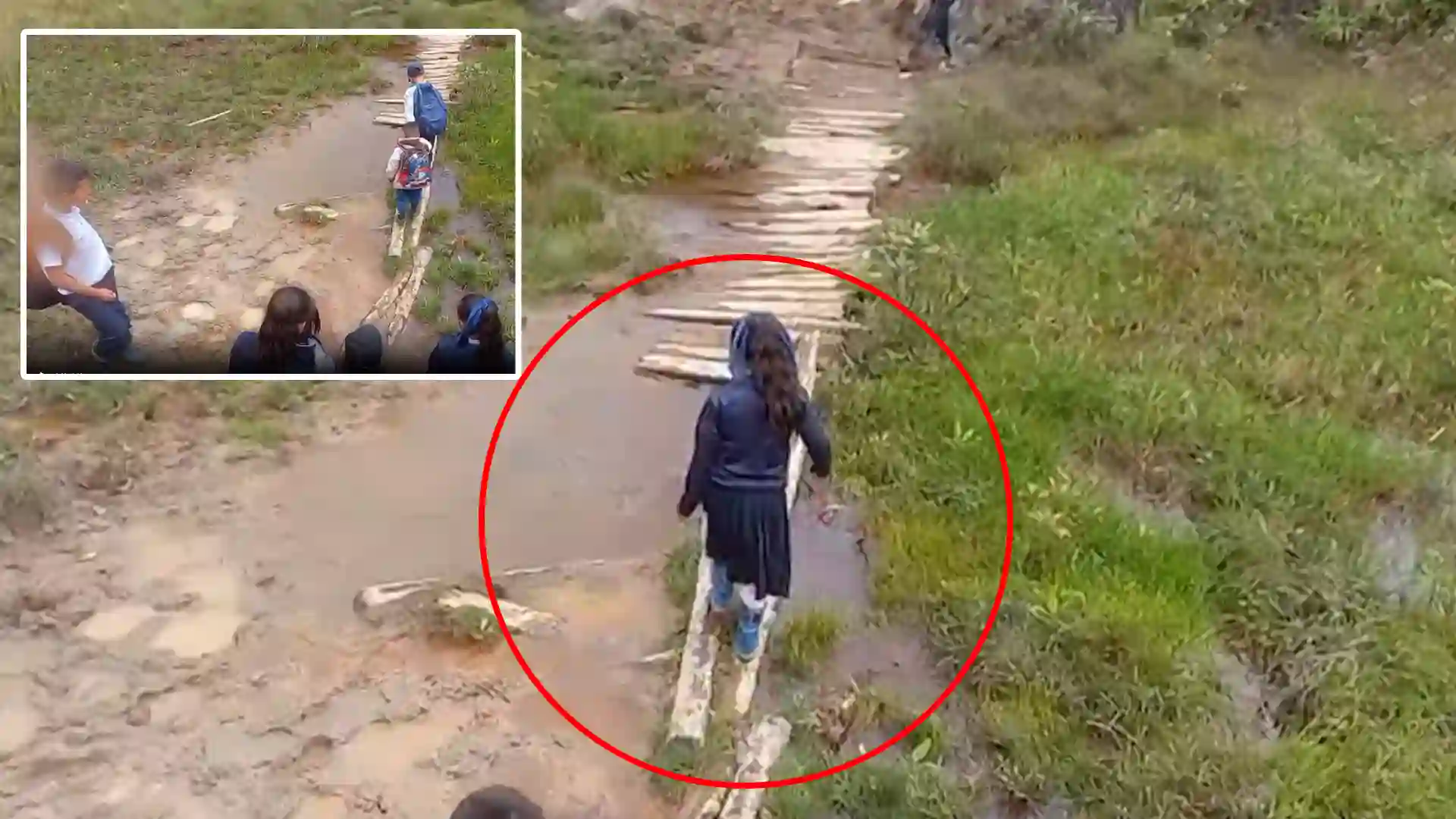 VIDEO | Así es como niños arriesgan su vida en puentes improvisados para poder ir a estudiar en Ortega, Tolima