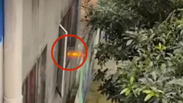 Pánico en Bogotá por hombre que, sin importarle nada, disparó una escopeta desde su ventana Pánico en Bogotá por hombre que, sin importarle nada, disparó una escopeta desde su ventana