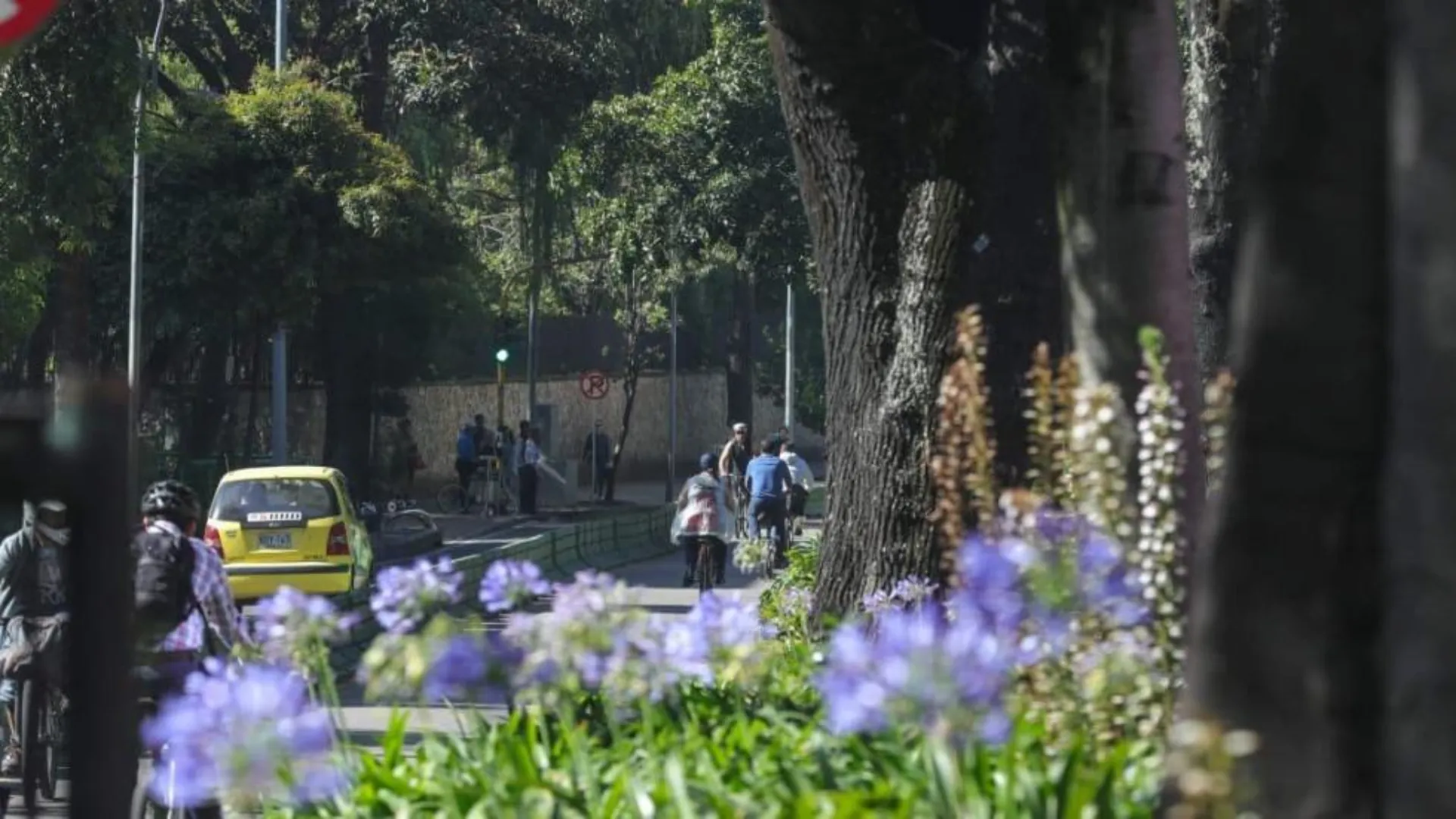 Foto: Alcaldía Mayor de Bogotá