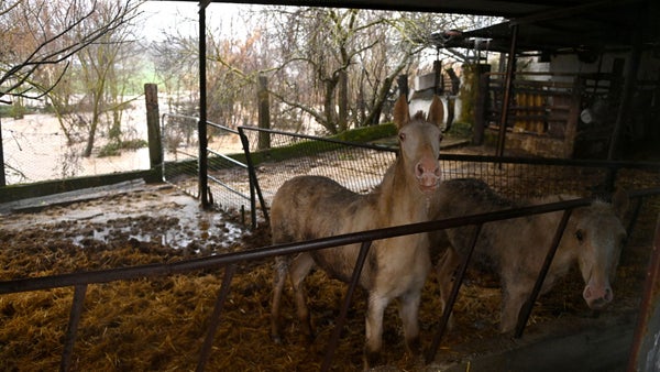 Más de 3.000 desalojados en Andalucía por lluvias extraordinarias de la borrasca Leonardo