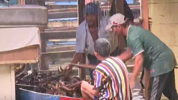 Campesinos de Córdoba lo pierden todo: cultivos de ñame, yuca y plátano bajo el agua