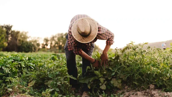 Proponen un ‘Invima Campesino’ y advierten efectos del catastro multipropósito en sus territorios
