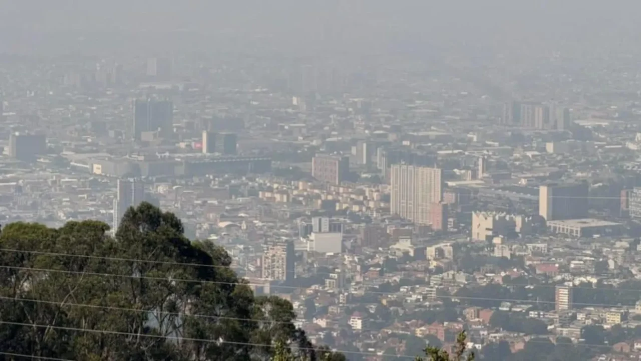Did it work? This was the air pollution level during the 'Car-Free and Motorcycle-Free Day' in Bogotá