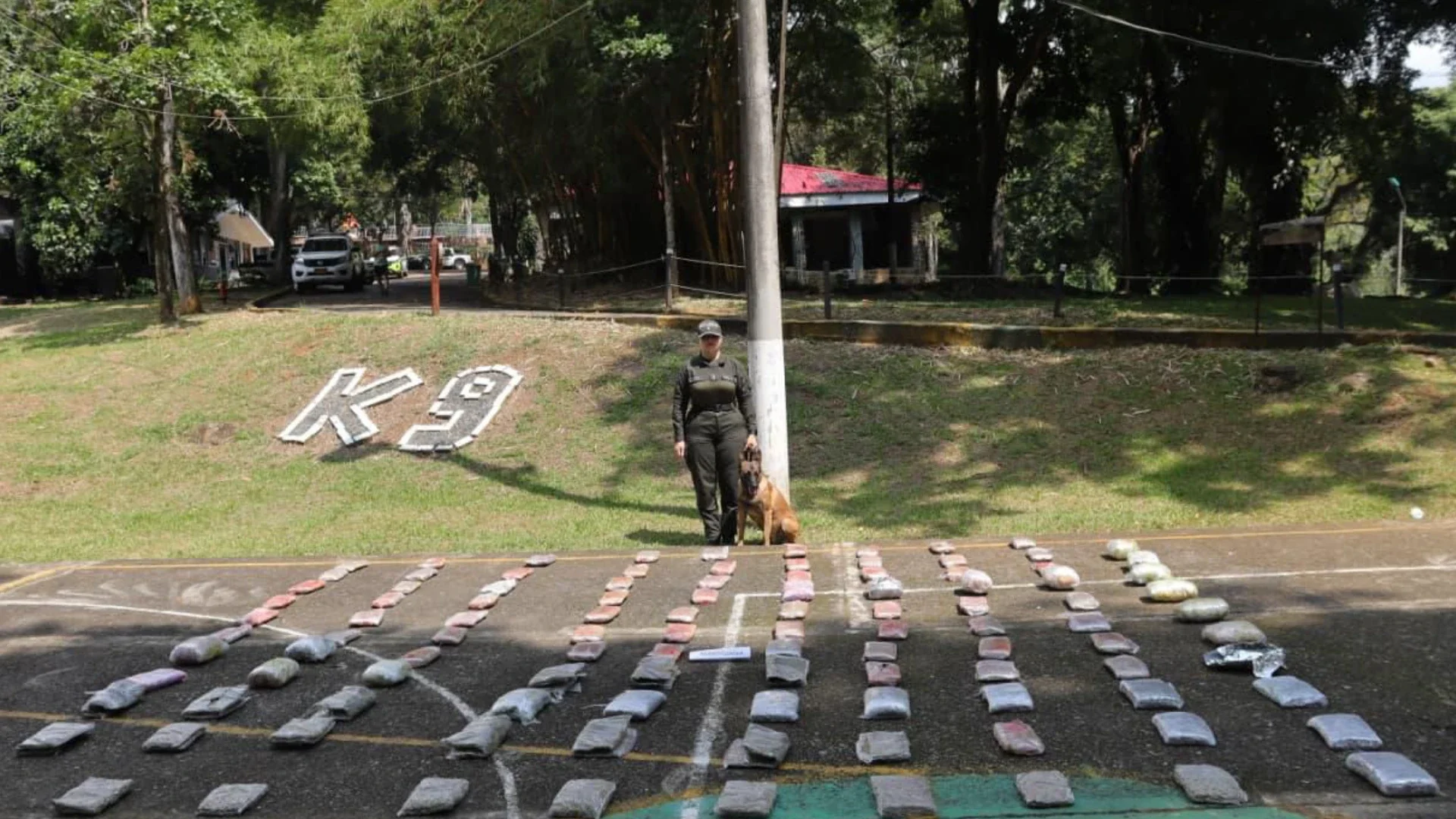Foto: Policía de Cali.