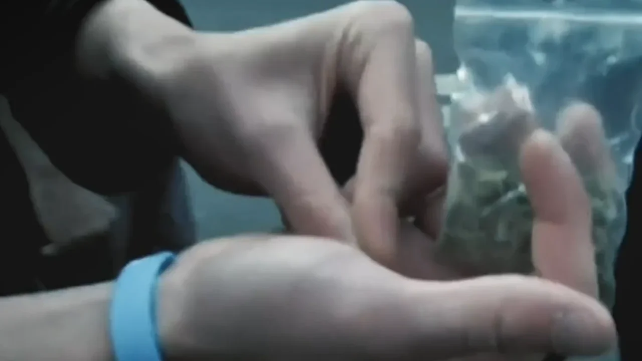 The problem that raises alarms in Bogotá's shadows: children consuming marijuana