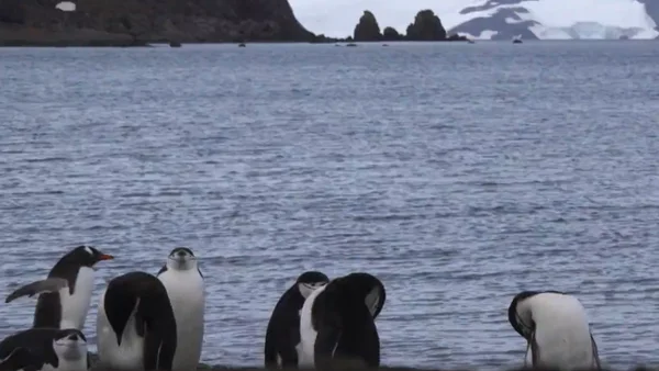 Buque ARC Simón Bolívar se dirige al estrecho de Gerlache en una aventura más