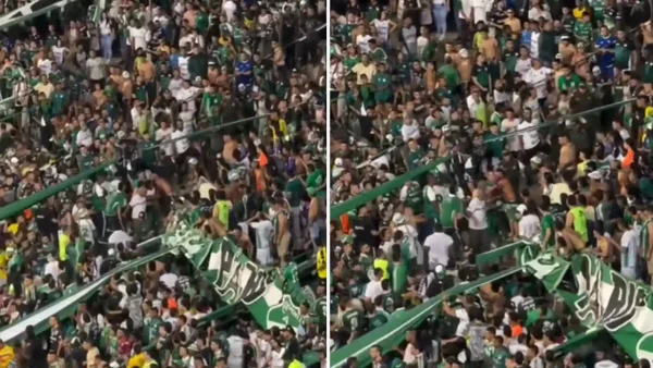 Hincha del Deportivo Cali resultó gravemente herido tras pelea en tribuna de Palmaseca: video