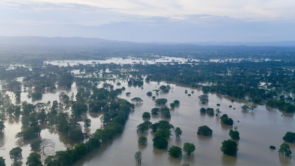 ¿Cuántos cultivos y ganado se han perdido en Córdoba durante la emergencia por las lluvias?