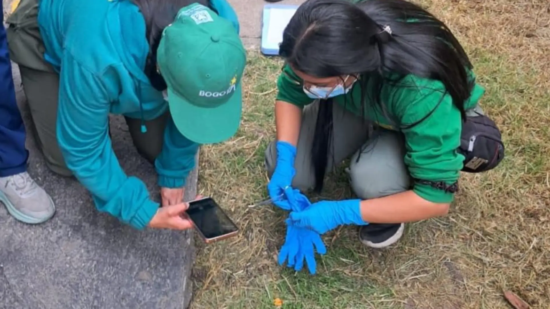 Caso de envenenamiento a animales en Bogotá
