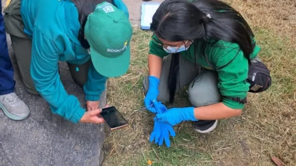 Seis perros que hacían parte de un colegio en Ciudad Bolívar fueron envenenados: dos ya murieron