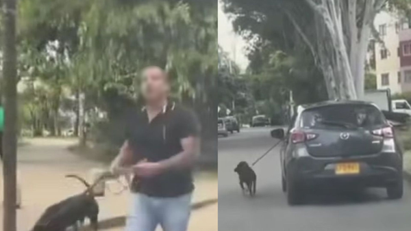 VIDEO I Perrito es amarrado a un vehículo en movimiento por las calles de Cali