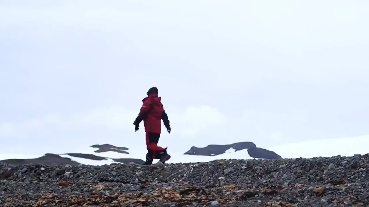 How is waste reused in Antarctica? This is how the white continent is cared for