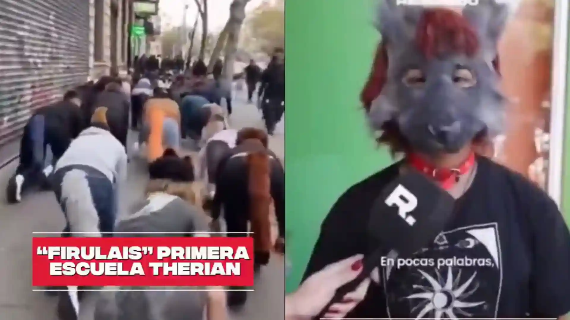 Escuela Therian Argentina