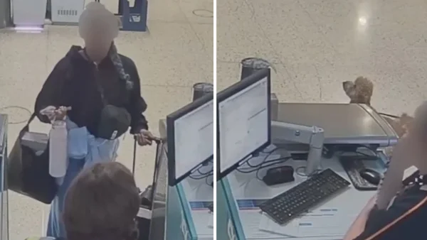 Mujer abandonó a su perro en el aeropuerto de Las Vegas por no tener la documentación: terminó arrestada