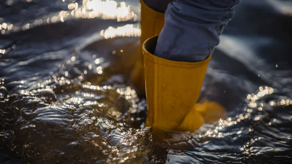 UNGRD entrega pronóstico sobre lluvias para los próximos días: alerta nuevo frente frío